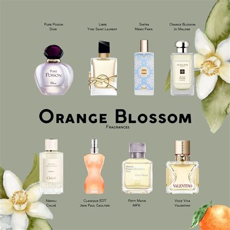 best smelling orange blossom perfume.